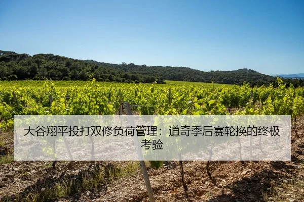 大谷翔平投打双修负荷管理：道奇季后赛轮换的终极考验