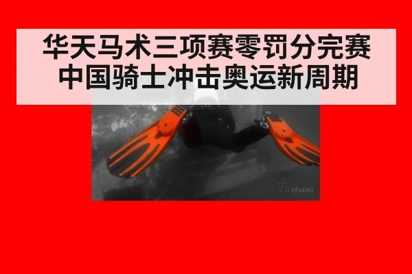 华天马术三项赛零罚分完赛 中国骑士冲击奥运新周期