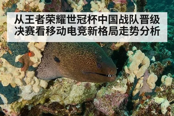 从王者荣耀世冠杯中国战队晋级决赛看移动电竞新格局走势分析