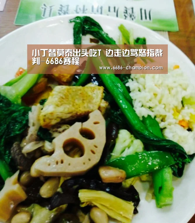 小丁替莫泰出头吃T 边走边骂怒指裁判-6686赛程(图2) 6686官网
