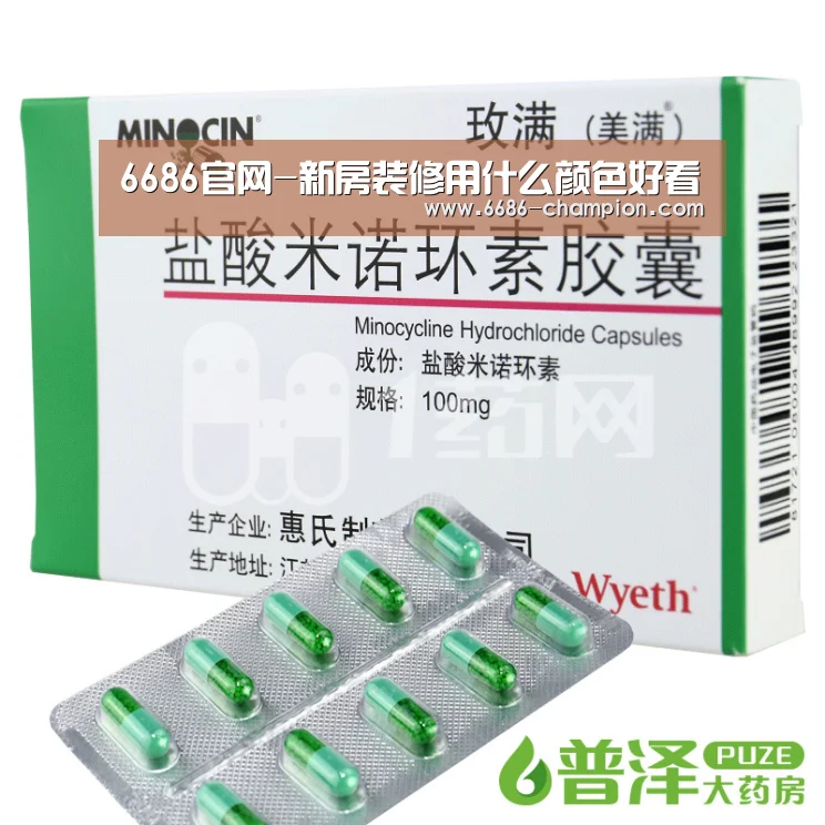 6686下载